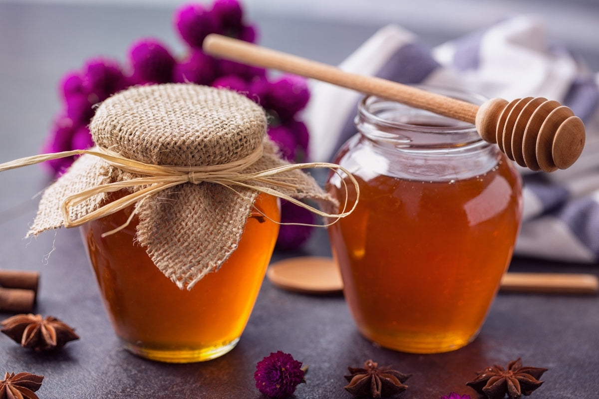 Jarrah Honey and Manuka Honey in side by side jars