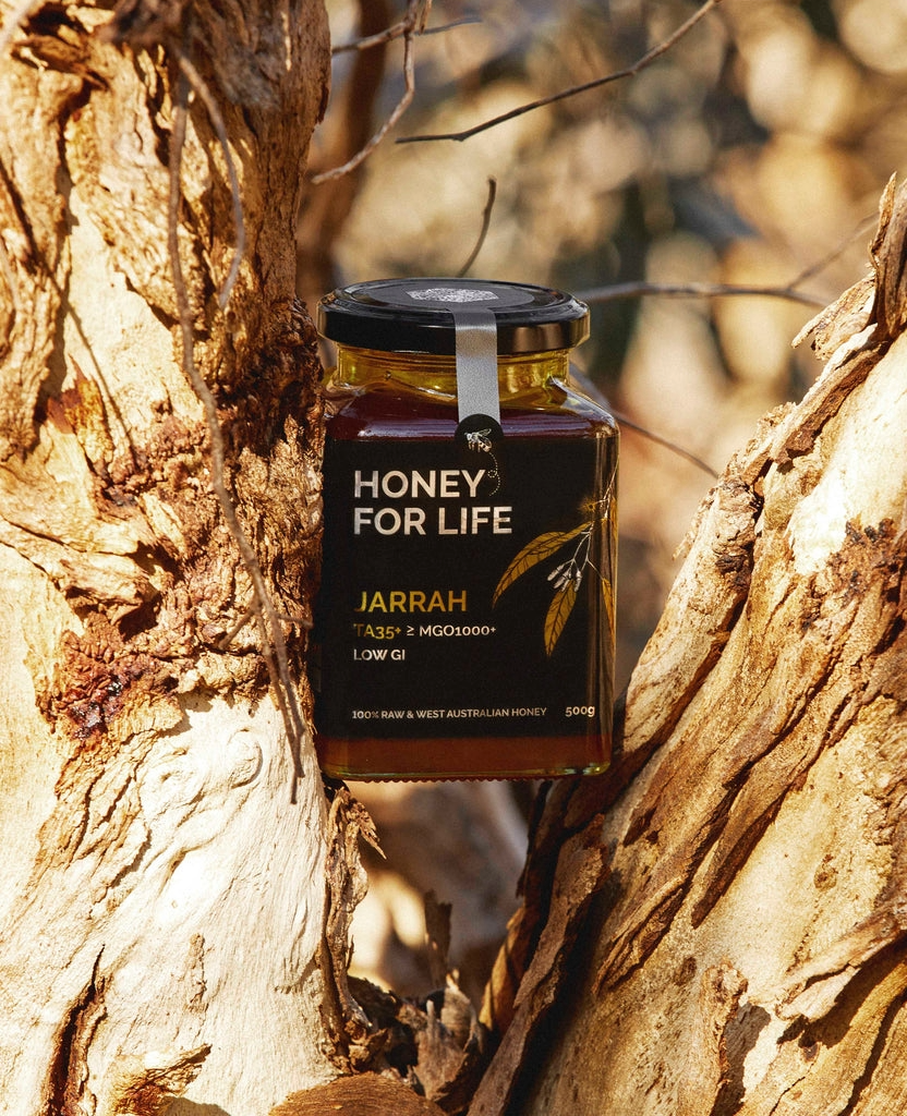 Jarrah Active Honey TA35 in between branches of trees