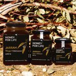 jarrah honey jars