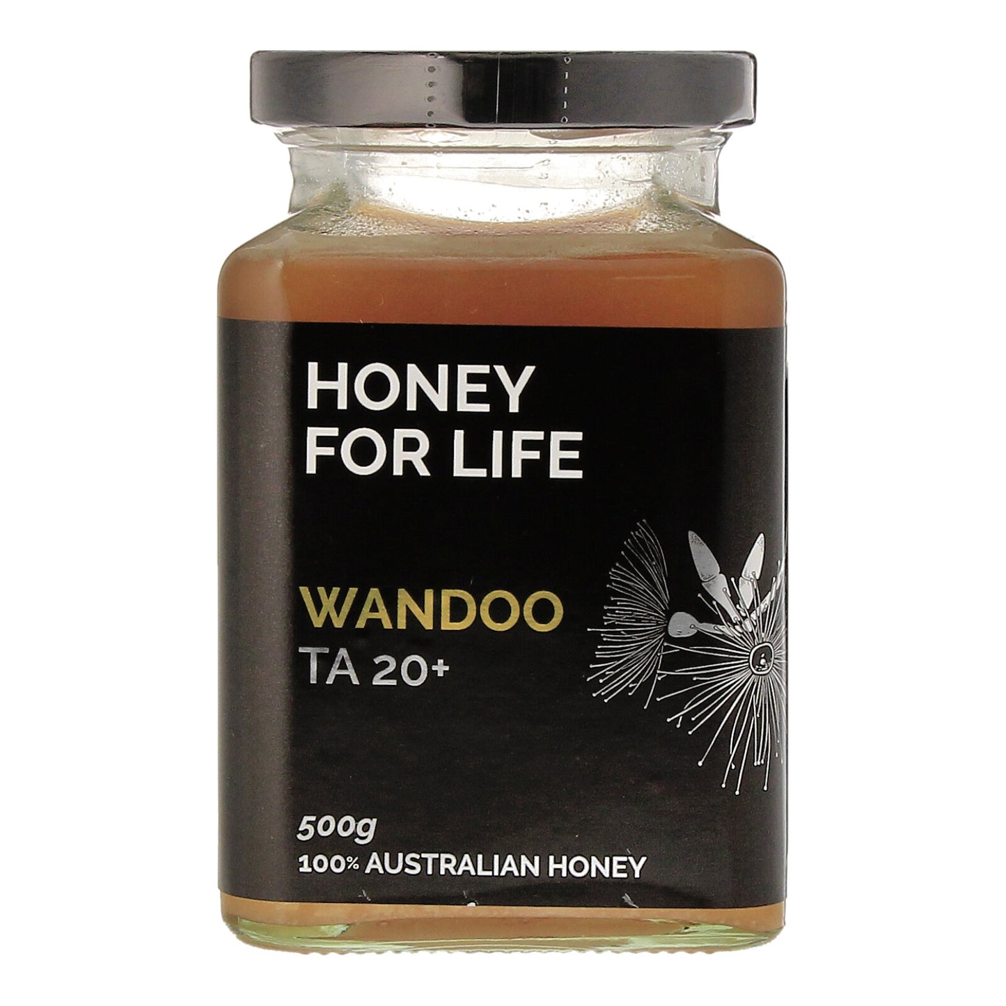 Wandoo500Front.jpg